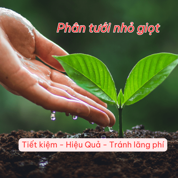 Công ty Phân bón Vietfarm: Điểm tựa cho năng suất và lợi nhuận trong nông nghiệp