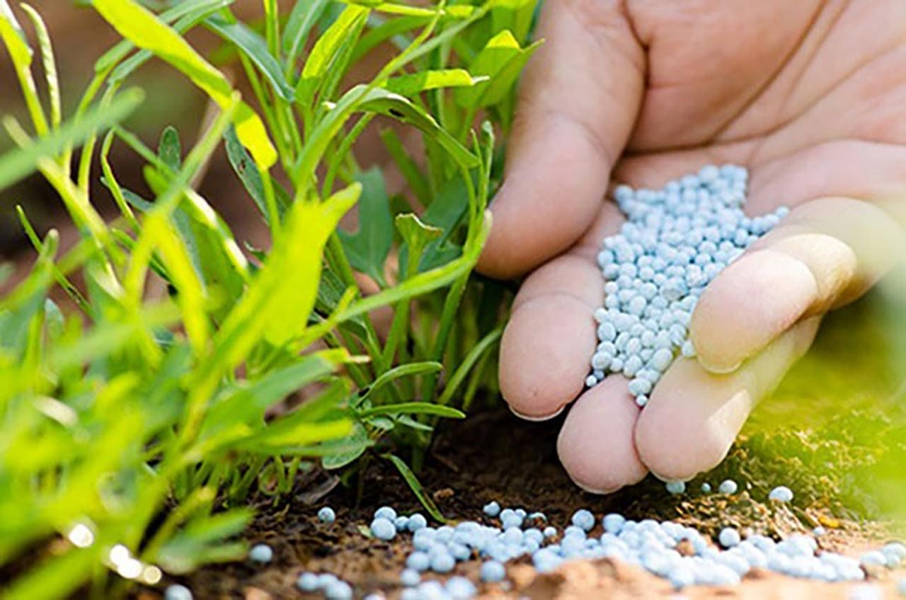 Công ty Phân bón Vietfarm: Điểm tựa cho năng suất và lợi nhuận trong nông nghiệp