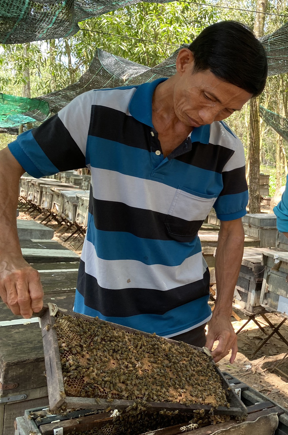 Hiệu quả chuyển đổi cây trồng, vật nuôi
