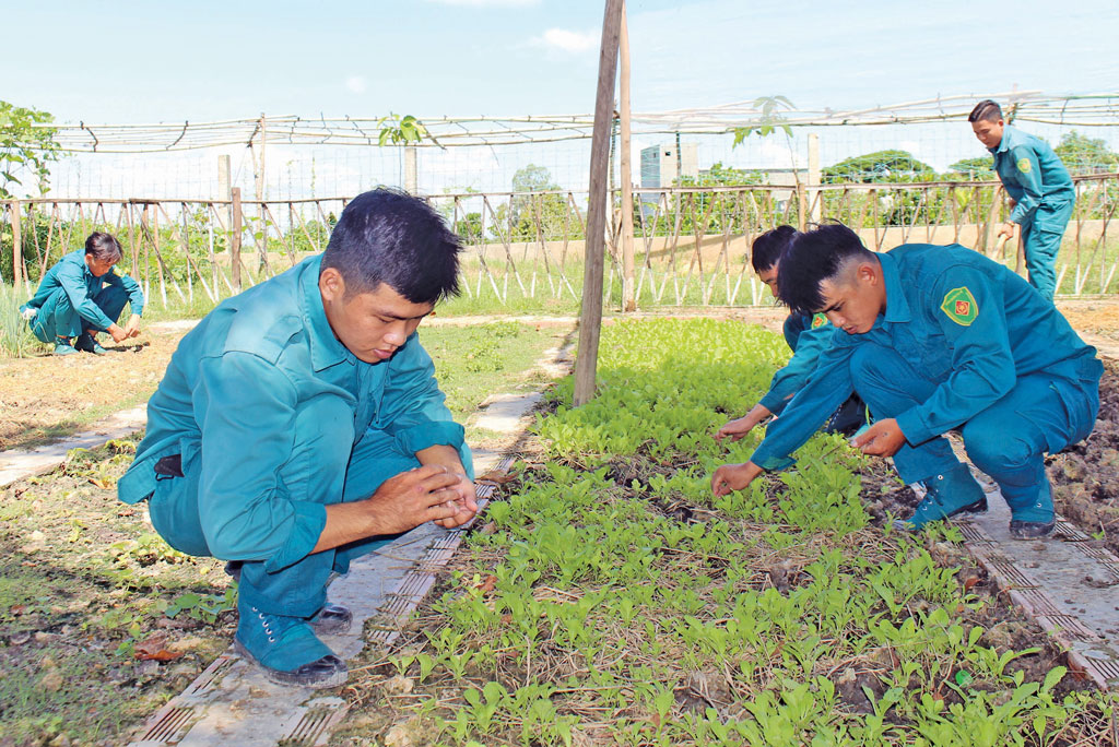 Những 'bức tường thép' nơi biên cương
