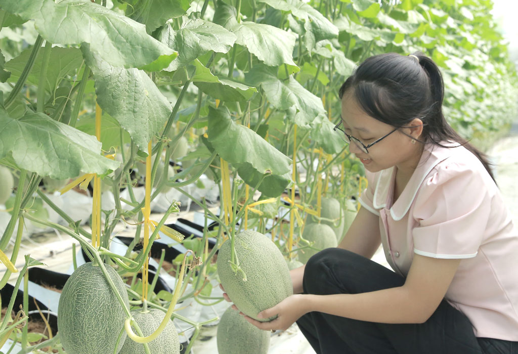 Tạo chỗ đứng trên thị trường cho sản phẩm OCOP