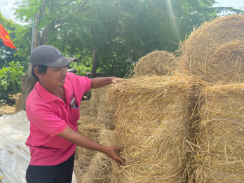 Vĩnh Hưng từng bước nâng cao đời sống người dân vùng biên Vĩnh Hưng từng bước nâng cao đời sống người dân vùng biên