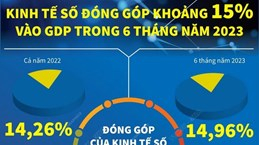 Kinh tế Số đóng góp khoảng 15% vào GDP trong 6 tháng năm 2023