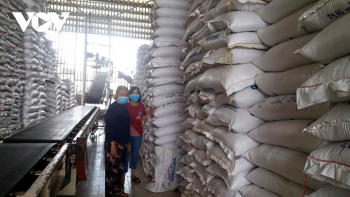 Chớp thời cơ tăng giá, Việt Nam tăng cường xuất khẩu gạo