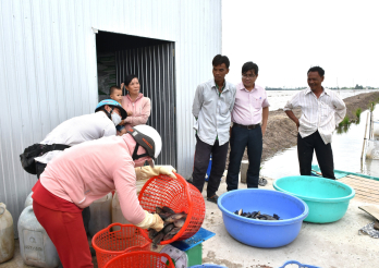 Tân Thạnh: Trên 27.800 lượt hộ nghèo và các đối tượng chính sách khác được vay vốn Tân Thạnh: Trên 27.800 lượt hộ nghèo và các đối tượng chính sách khác được vay vốn