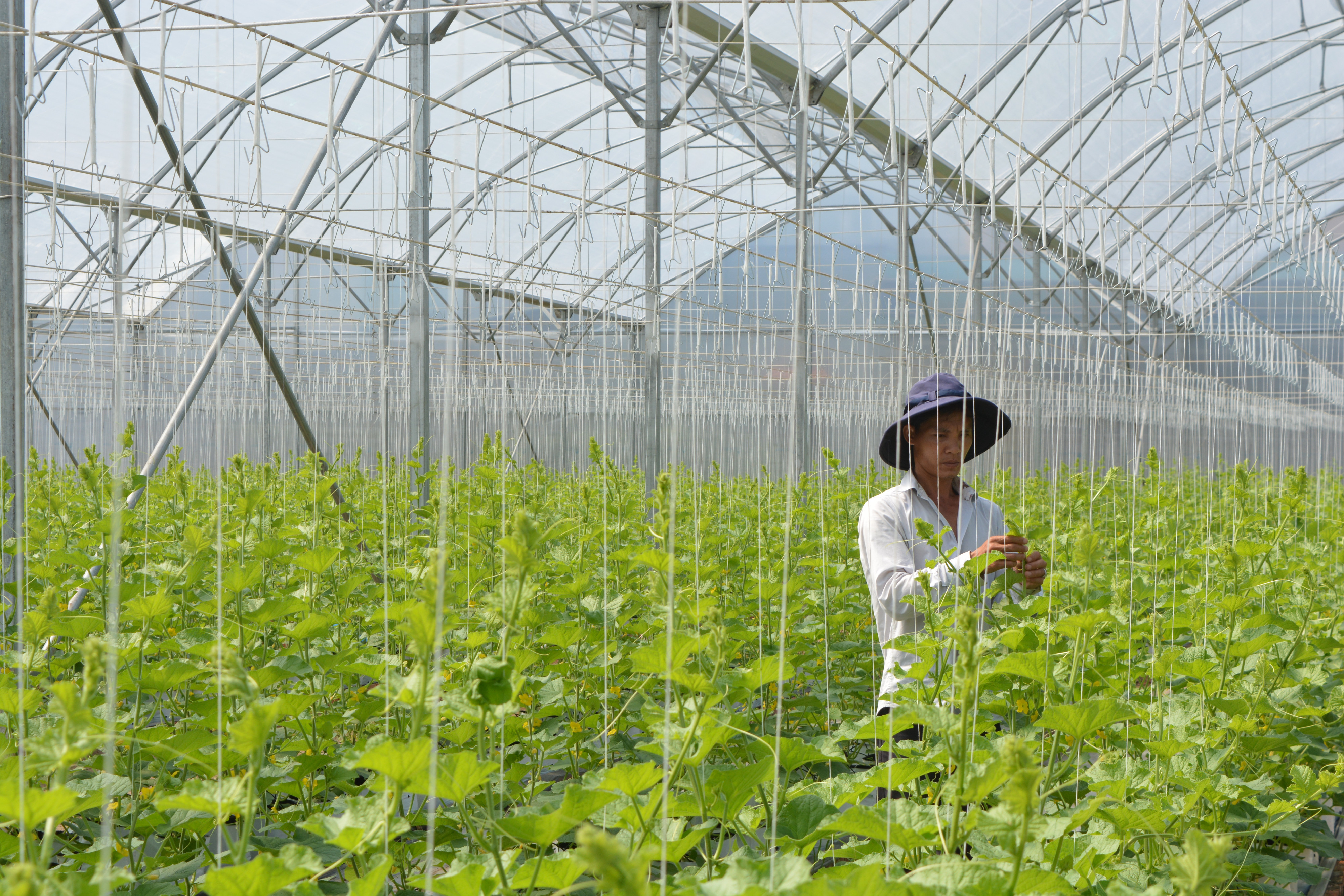 Phát huy tinh thần Cách mạng Tháng Tám trên quê hương Long An