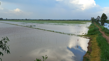 Chủ động phòng, chống thiên tai Chủ động phòng, chống thiên tai