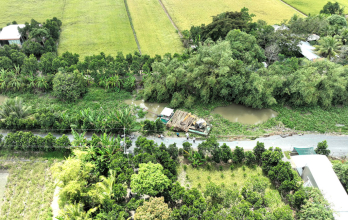 Tân Thạnh khẩn trương khắc phục sạt lở, bảo đảm an toàn cho người dân Tân Thạnh khẩn trương khắc phục sạt lở, bảo đảm an toàn cho người dân