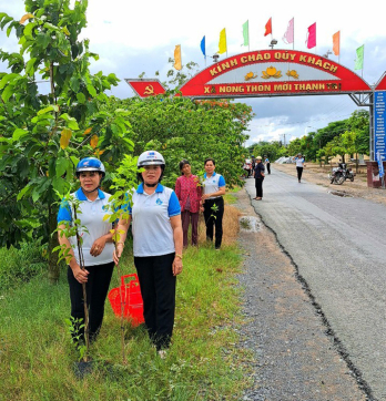 Thạnh Trị: Làm đẹp nông thôn với Tuyến đường hoa