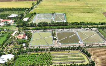 Tân Thạnh: Kiên quyết xử lý tình trạng nuôi tôm thẻ chân trắng