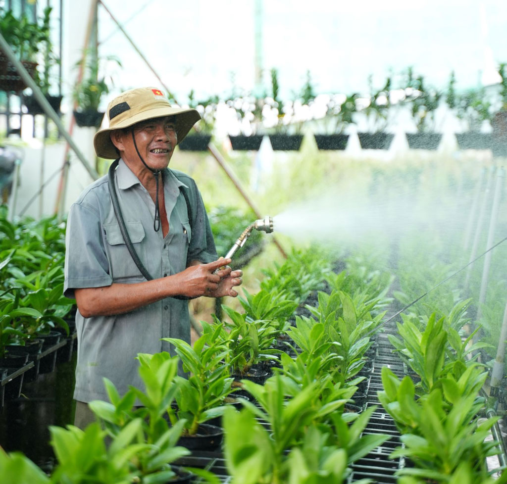 Long An không ngừng đổi mới, phát triển