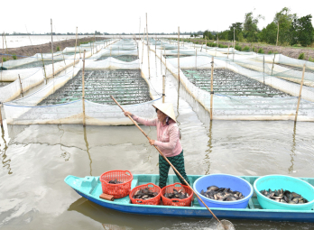 Tân Thạnh: Giúp người nghèo vươn lên Tân Thạnh: Giúp người nghèo vươn lên