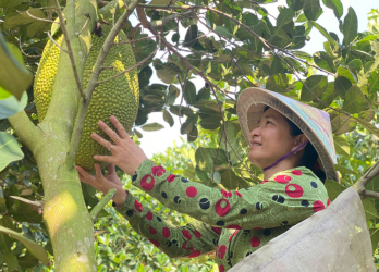 Tân Thạnh quan tâm tạo nguồn phát triển đảng viên Tân Thạnh quan tâm tạo nguồn phát triển đảng viên
