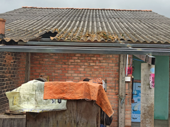 Tân Trụ: Mưa lớn bất thường gây thiệt hại nhiều tài sản, hoa màu