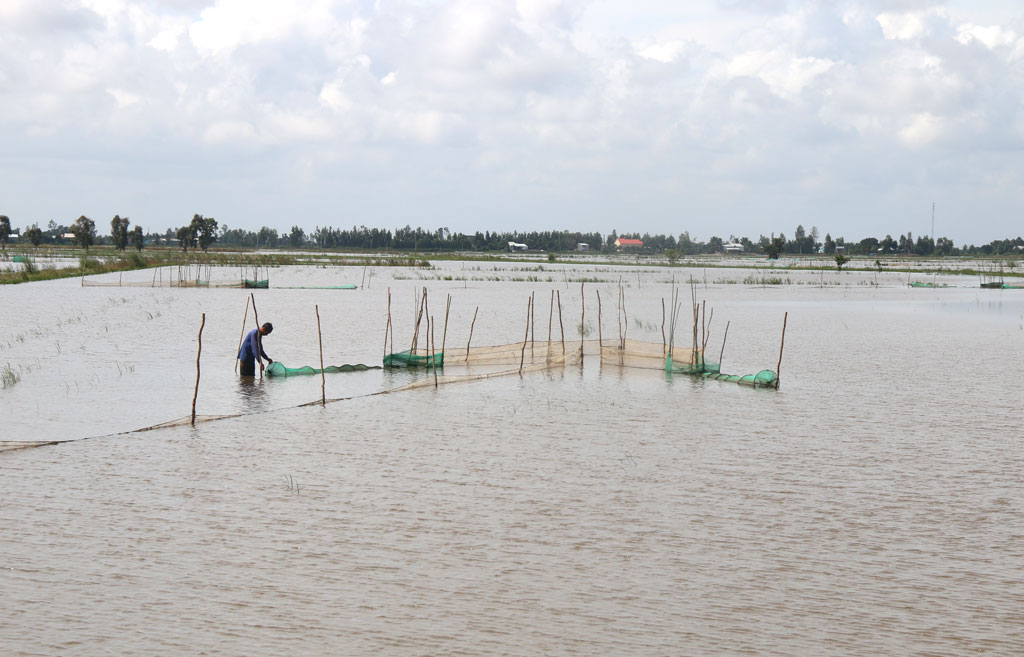 Người dân trông lũ về