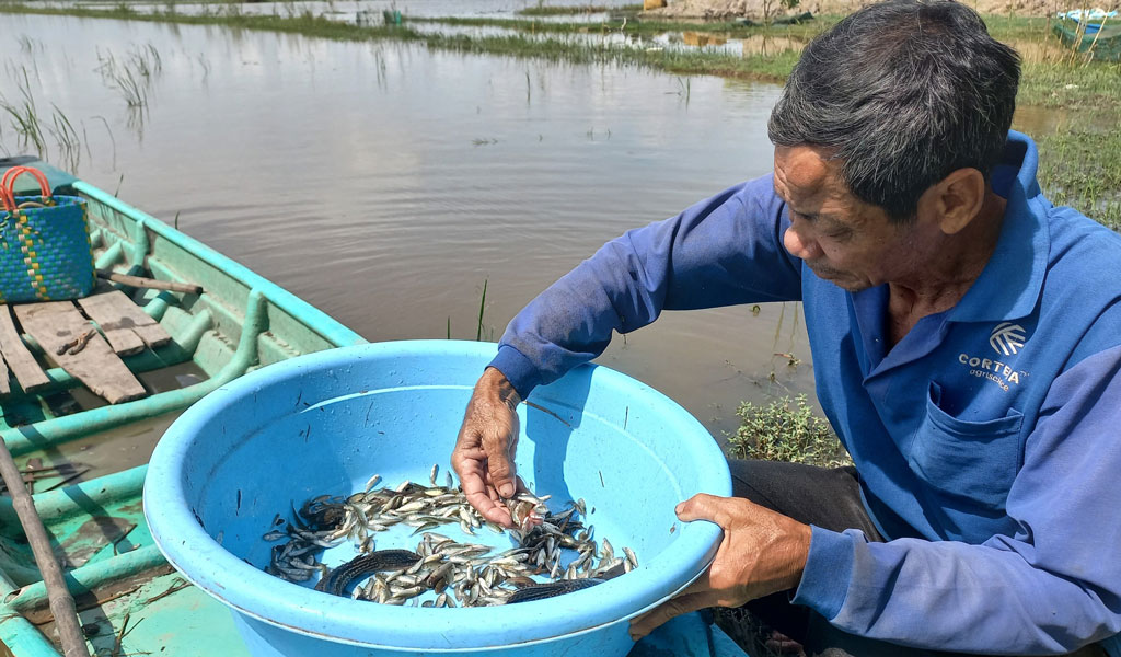 Người dân trông lũ về