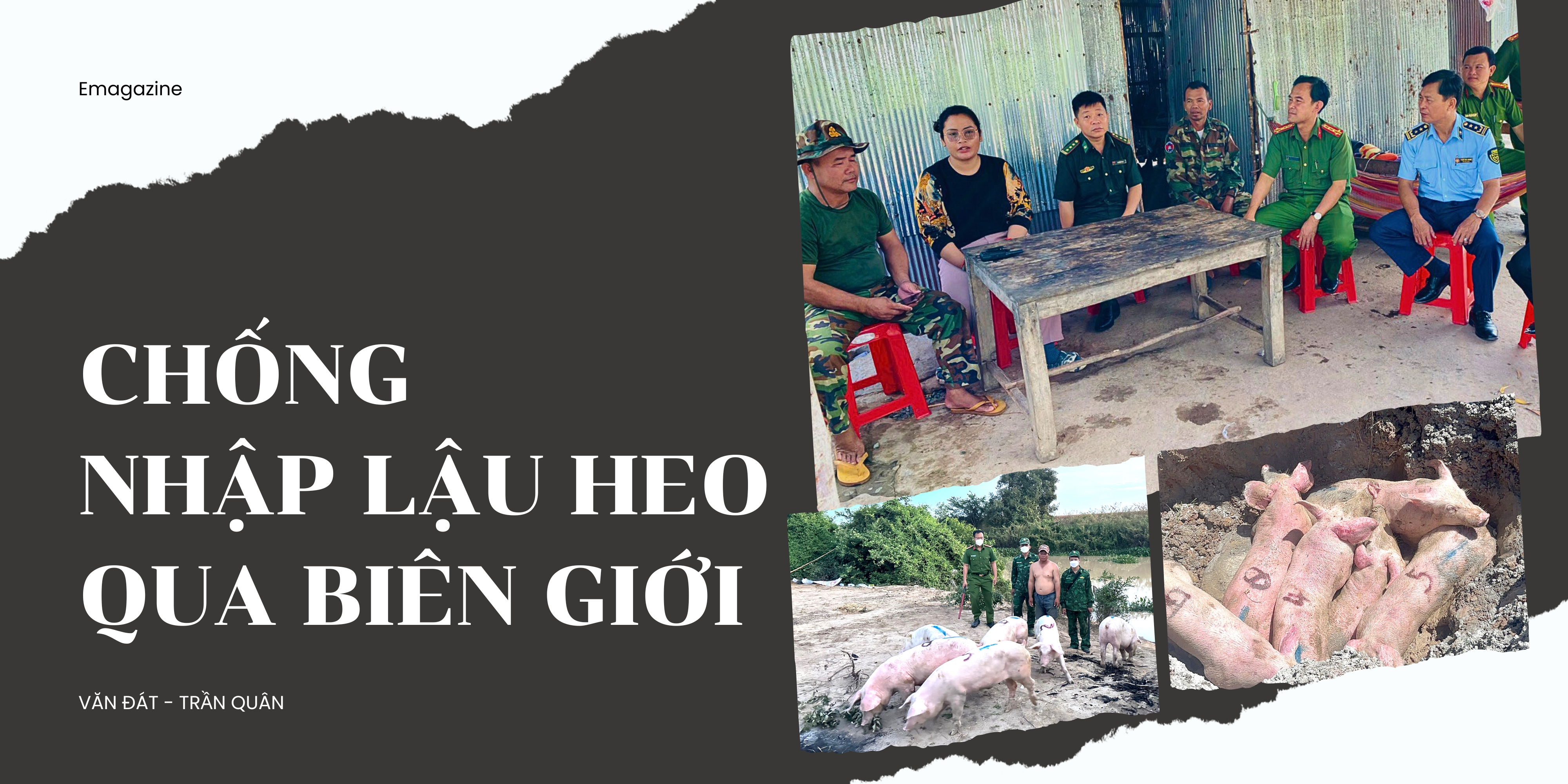 Chống nhập lậu heo qua biên giới