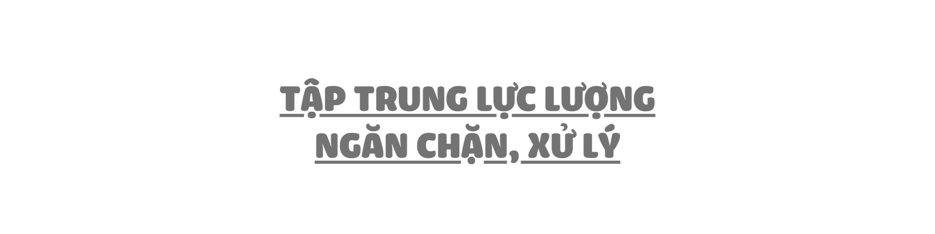 Chống nhập lậu heo qua biên giới