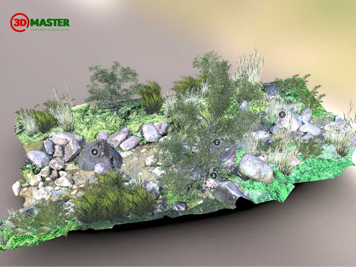 3D Master ứng dụng công nghệ hỗ trợ tính tín chỉ carbon nhanh gấp 10 lần