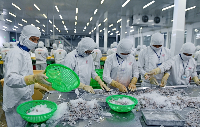Doanh nghiệp lúa gạo, thủy sản than trời vì 'đói vốn' Nhiều doanh nghiệp chế biến thủy sản cho rằng hạn mức ngân hàng quản lý cứng nhắc theo từng năm, rất khó khăn. Ảnh ĐÌNH TUYỂN