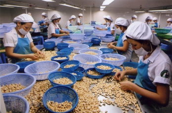 Growing agricultural export to match international standards