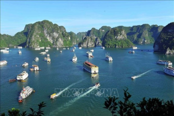 Ha Long Bay-Cat Ba Archipelago recognised as world natural heritage