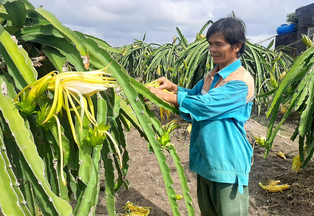 Những chiếc 'cần câu' sinh kế
