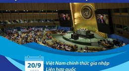 Quan hệ hợp tác Việt Nam-Liên hợp quốc