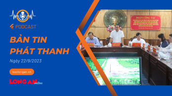 Bản tin phát thanh 22/9/2023
