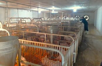 Tập trung di dời các trang trại, cơ sở chăn nuôi