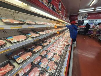 Giá heo hơi hôm nay 25/9/2023: Giữ mức bình quân 56.000 đồng/kg