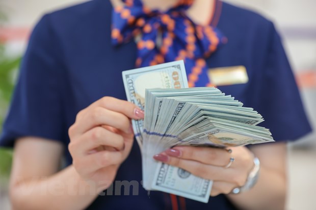 Kinh tế Việt Nam vững vàng trong bối cảnh nhu cầu toàn cầu suy yếu