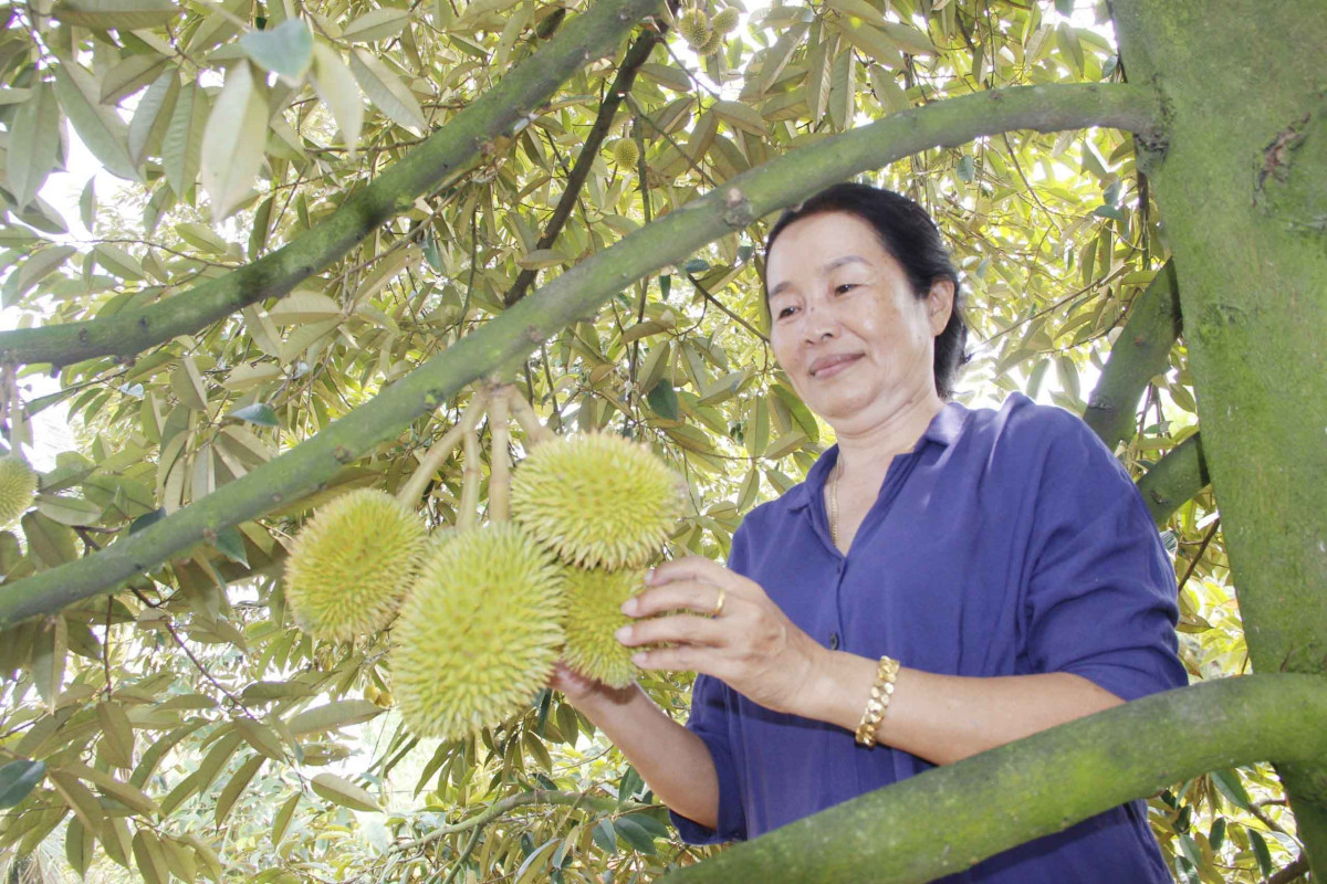 Nông dân Long An không ngừng vươn lên làm giàu và ngày càng năng động, chuyên nghiệp, văn minh hơn