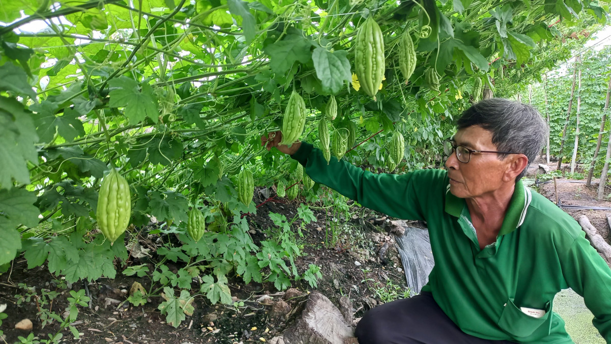 Nông dân Long An không ngừng vươn lên làm giàu và ngày càng năng động, chuyên nghiệp, văn minh hơn