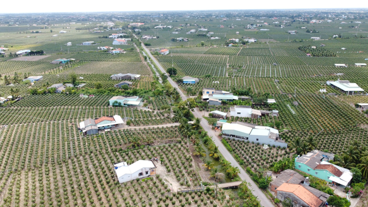 Nông dân Long An không ngừng vươn lên làm giàu và ngày càng năng động, chuyên nghiệp, văn minh hơn