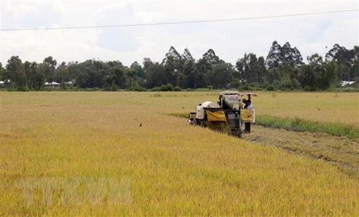 Kien Giang reports rise in export turnover in nine months