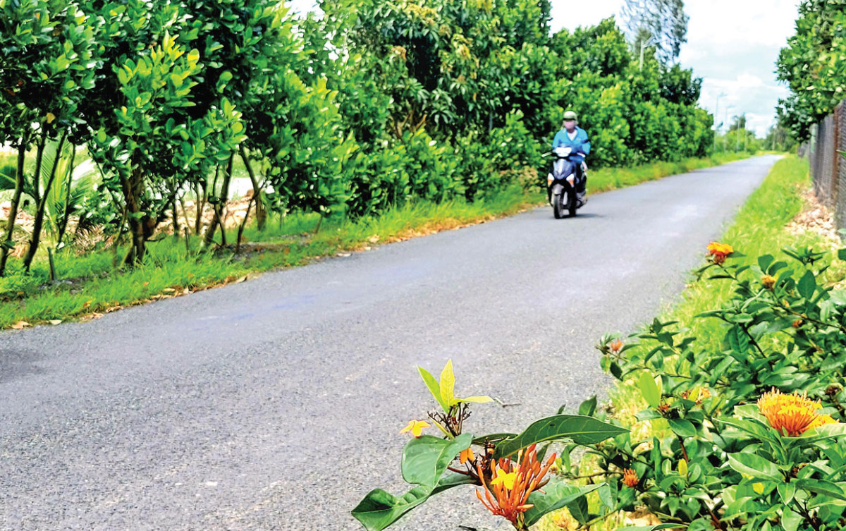 Chỉ riêng tuyến đường bên kênh Lộ Ngang, ông Tám Thơi đã hiến 1,1ha đất