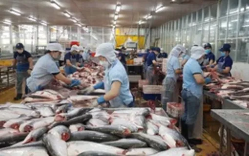 Thách thức với mục tiêu tăng trưởng 6% Thách thức với mục tiêu tăng trưởng 6%