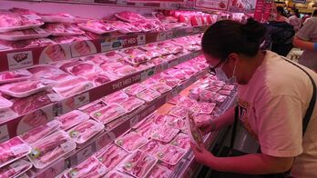 Giá heo hơi hôm nay 4/10/2023: Tiếp tục trượt dài