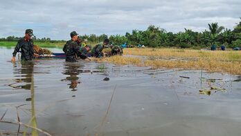 Bộ đội, dân quân bơi xuồng, lội nước thu hoạch lúa bị ngập giúp dân