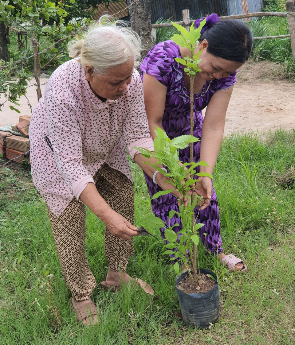 Thực hiện mô hình Sáng, xanh, sạch, đẹp, phụ nữ xã Thạnh Trị, thị xã Kiến Tường tham gia trồng cây xanh