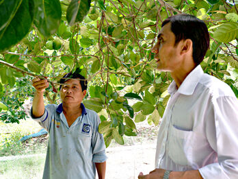 Phát huy khối đại đoàn kết từ những phong trào thiết thực Phát huy khối đại đoàn kết từ những phong trào thiết thực