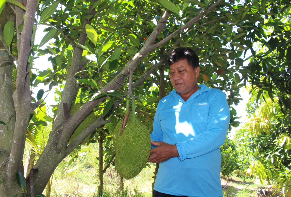 “An dân” giữ đất biên cương