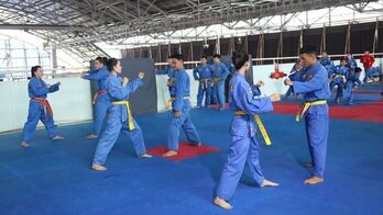 Vovinam nominated as national intangible heritage