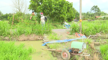 Ra ruộng bơm nước, người đàn ông bị điện giật chết
