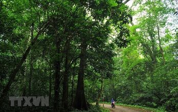 Forest eco-tourism should be expanded: experts