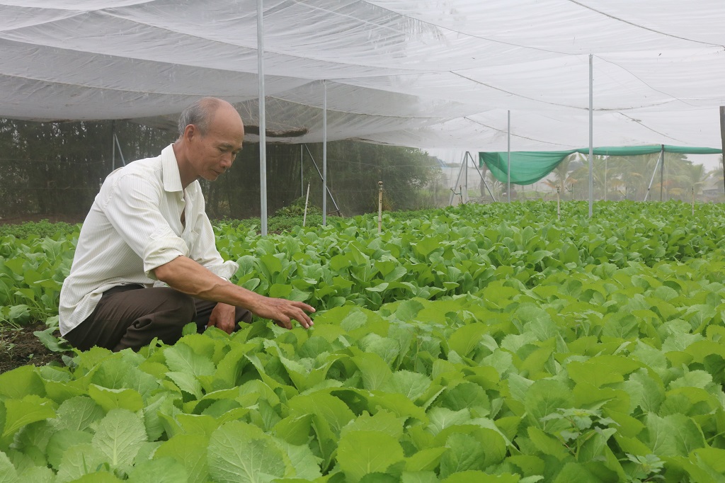 Liên minh Hợp tác xã Việt Nam - 30 năm hình thành và phát triển