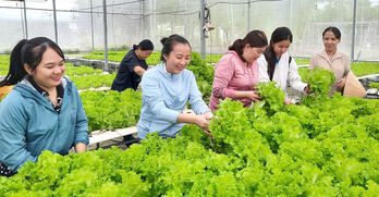 TP.Tân An: Phát triển nông nghiệp ven đô theo hướng bền vững