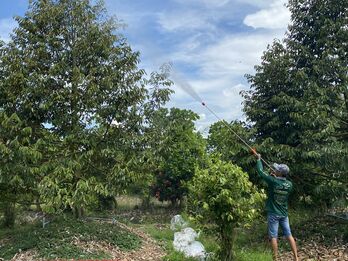 Tân Thạnh nỗ lực xây dựng thương hiệu nông sản địa phương Tân Thạnh nỗ lực xây dựng thương hiệu nông sản địa phương