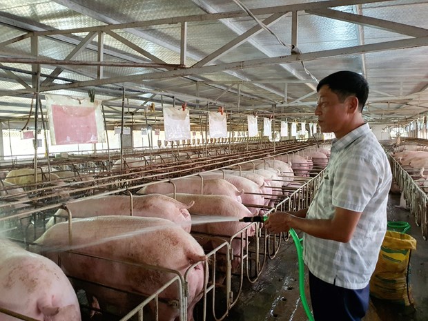 Xuất siêu nông, lâm, thủy sản trong 10 tháng đạt 9,3 tỷ USD